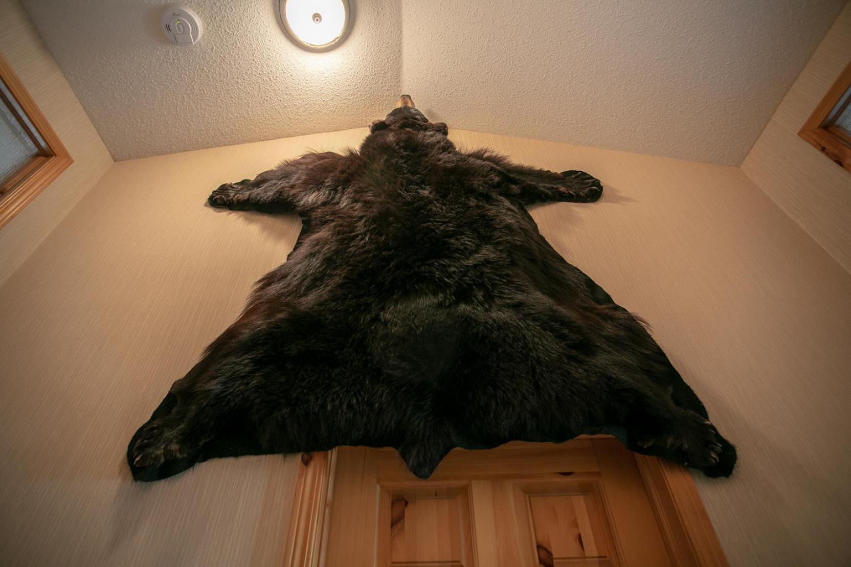 Banff Wood Lodge แคนมอร์ ภายนอก รูปภาพ