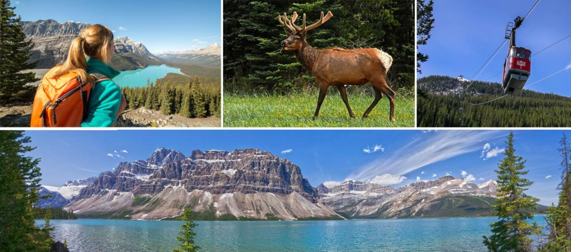 Banff Wood Lodge แคนมอร์ ภายนอก รูปภาพ